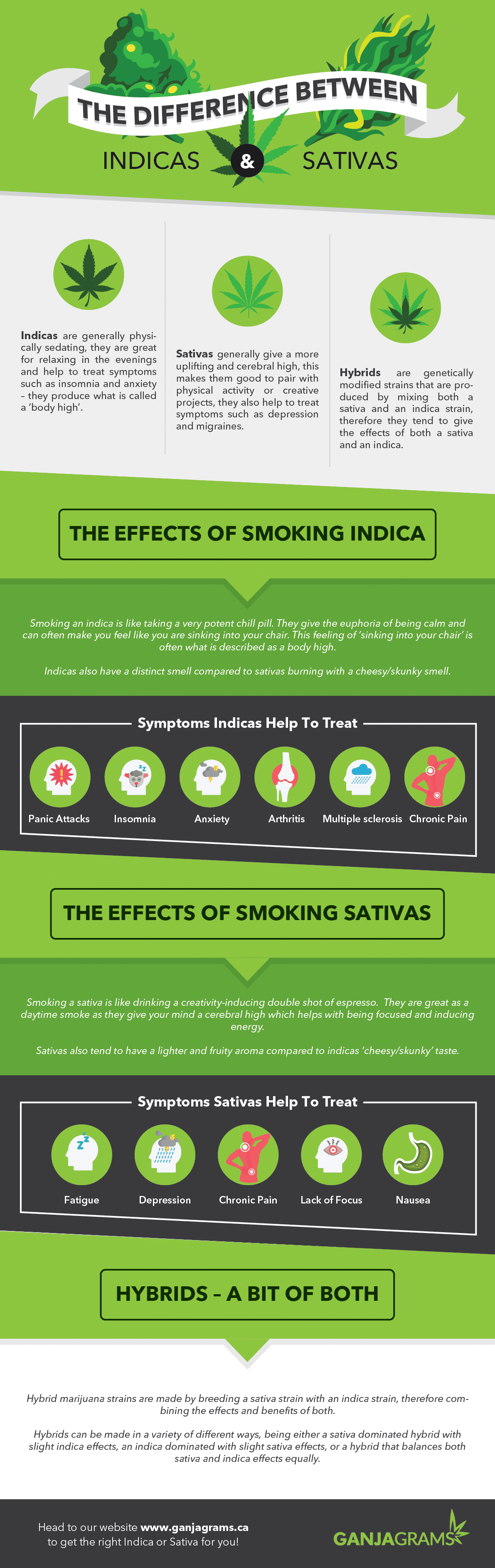 Difference Between Indica & Sativas Infographic